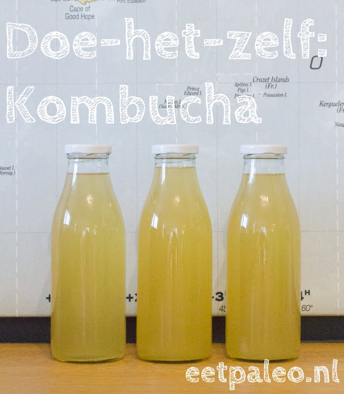 Doe het zelf Kombucha