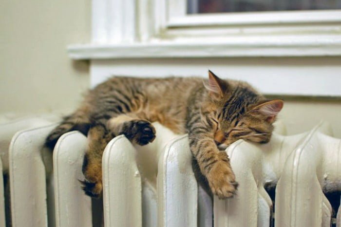 Koukleum? Zo word je warm!