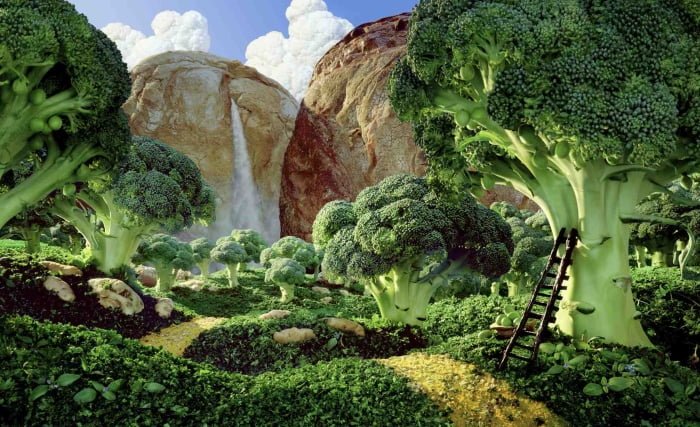 Paleo Superfoods