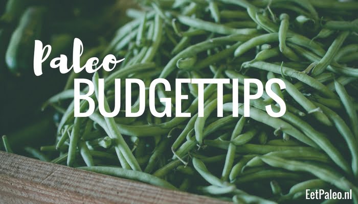 Paleo Budgettips