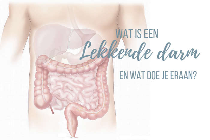 Wat is een lekkende darm?