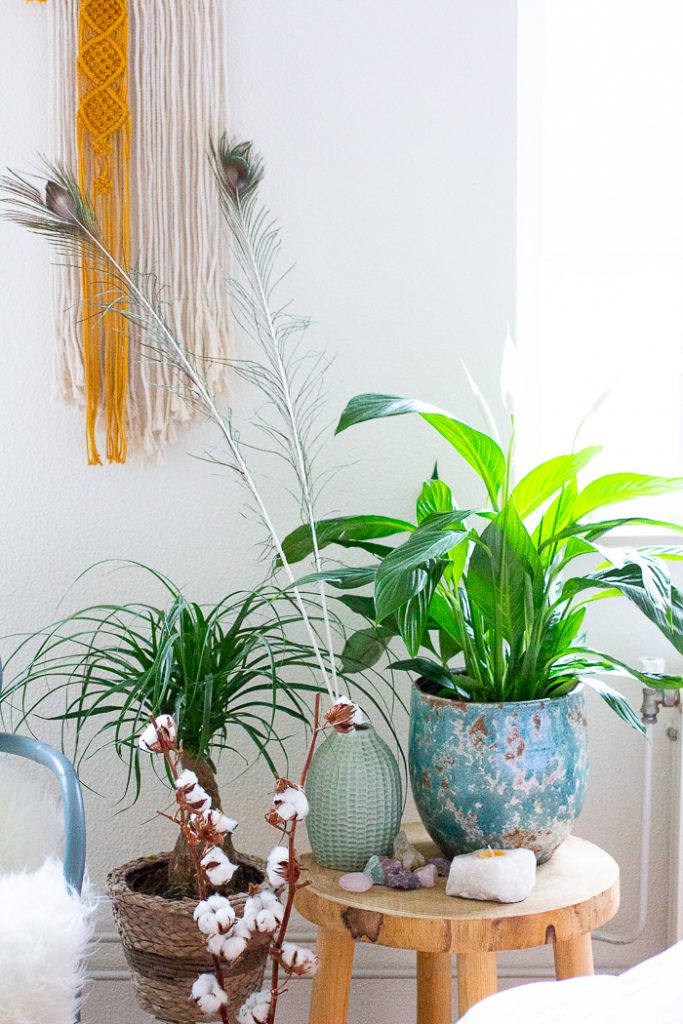 Groen in huis