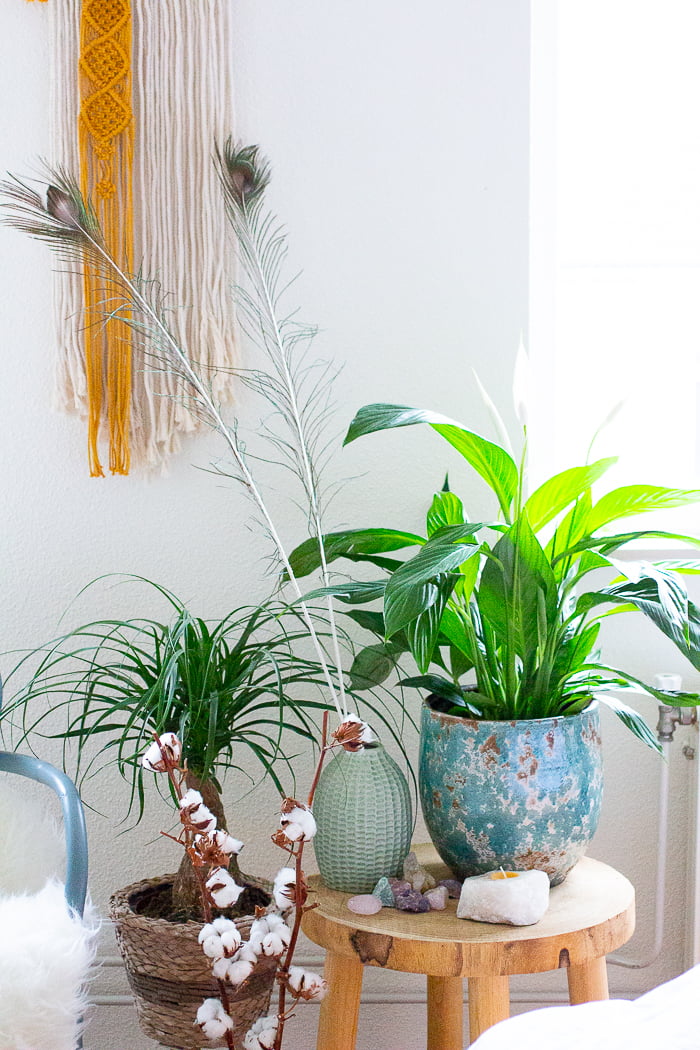 Groen in huis