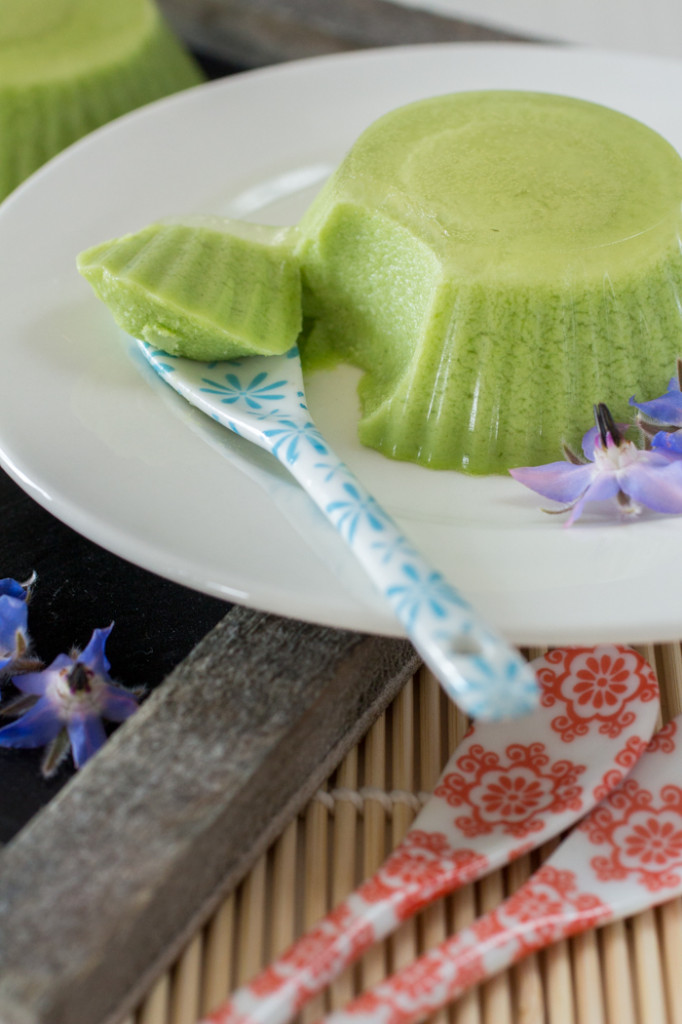 Pandan Kokospudding - EetPaleo