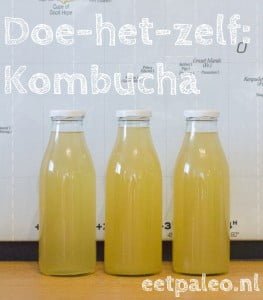 Doe het zelf Kombucha