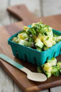 Paleo Salsa