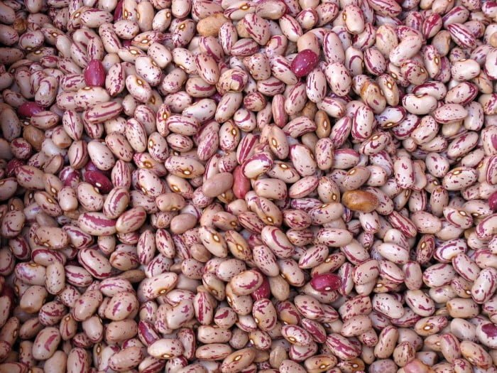beans-557268_1280