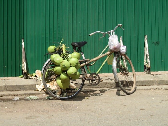 coconut-695221_1280