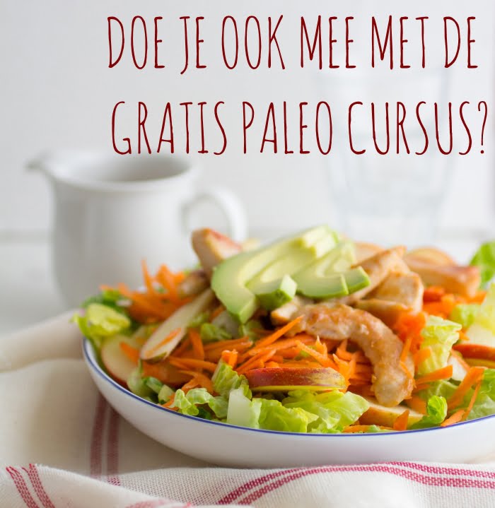 Gratis Paleo Cursus