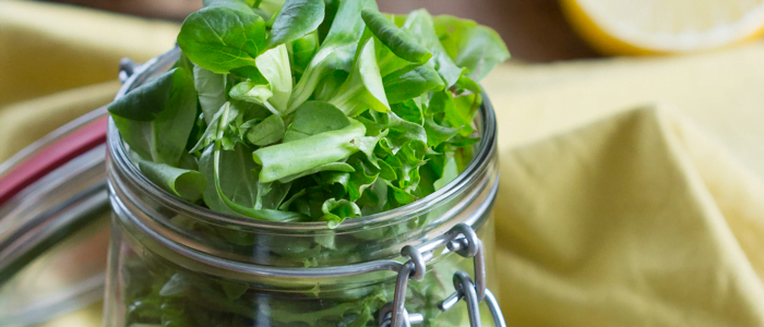 Lunchspecial - snelle tonijnsalade
