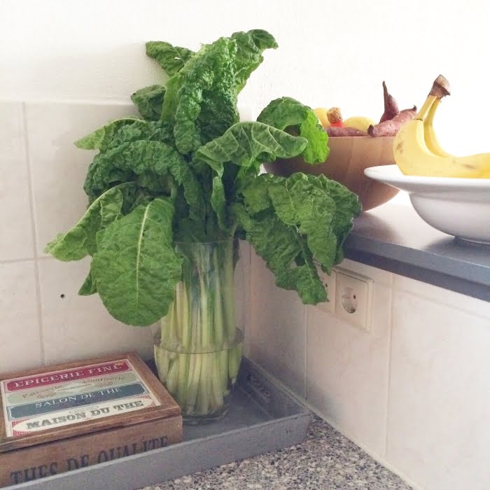 Snijbiet boeket, heel Paleo