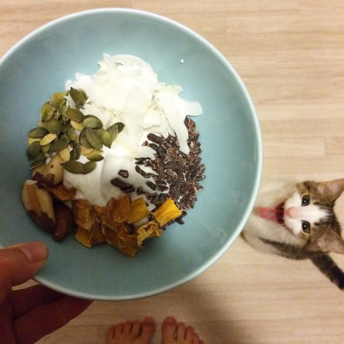Paleo leven - snackschaaltje met kokosyoghurt