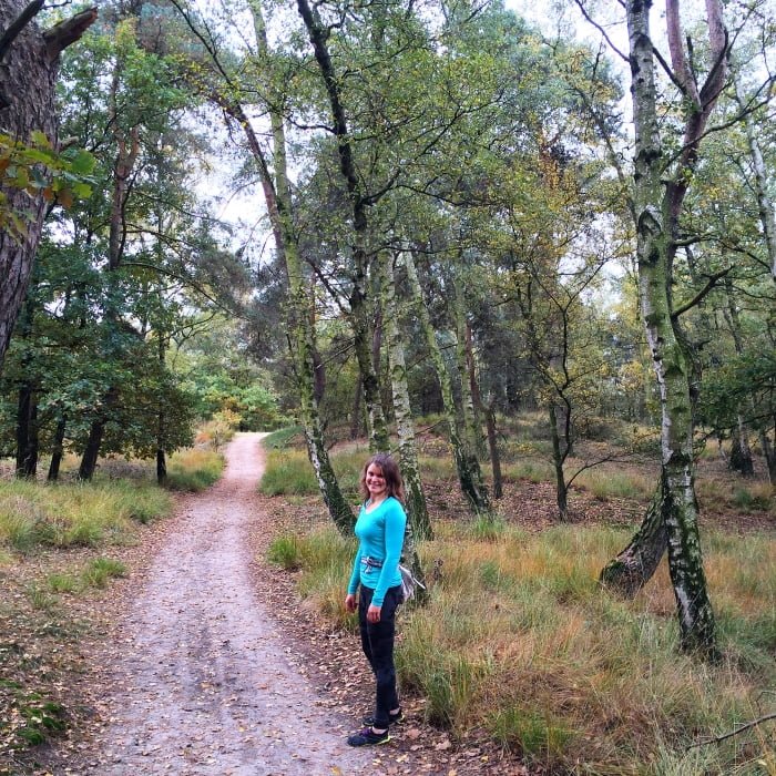Heerlijk wandelen op de Kalmthoutse Heide