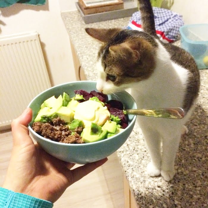 Paleo kat Pieter