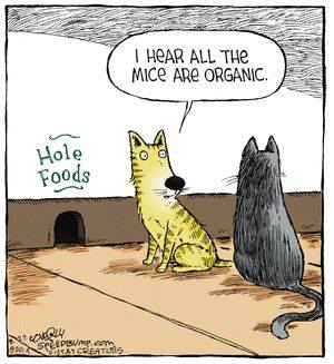 Biologisch kattenvoer
