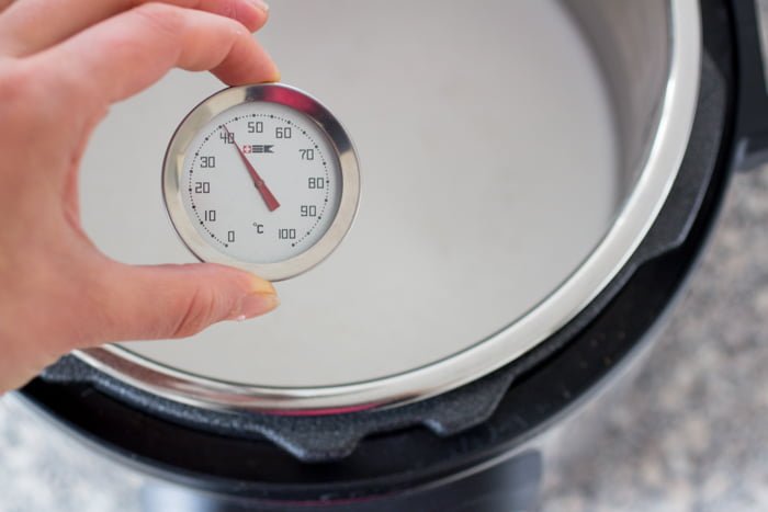 Kokosyoghurt uit de InstantPot