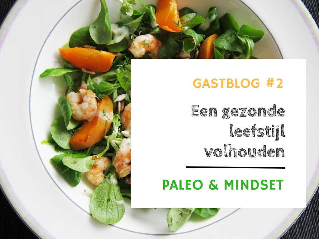 gezonde leefstijl volhouden