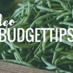 Paleo Budgettips