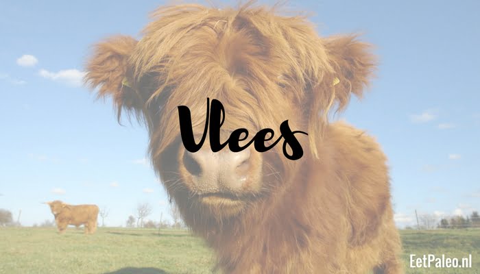 Vlees - Paleo Budget
