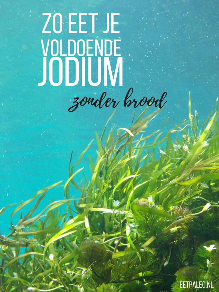 Zo eet je voldoende jodium zonder brood
