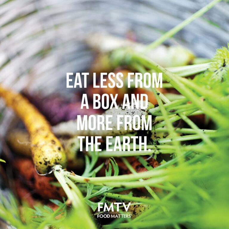 Food Matters TV