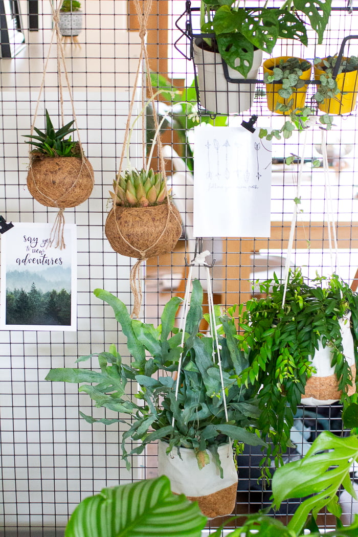 Groen in huis