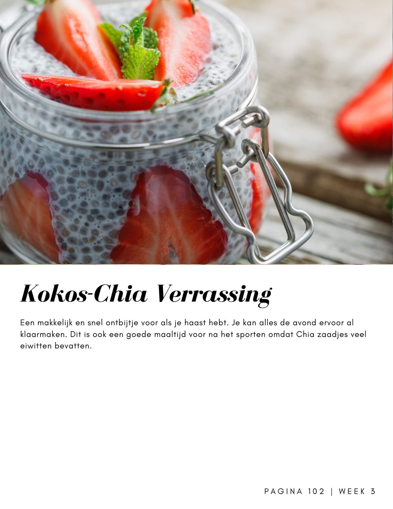 Paleo Lunch kookboek
