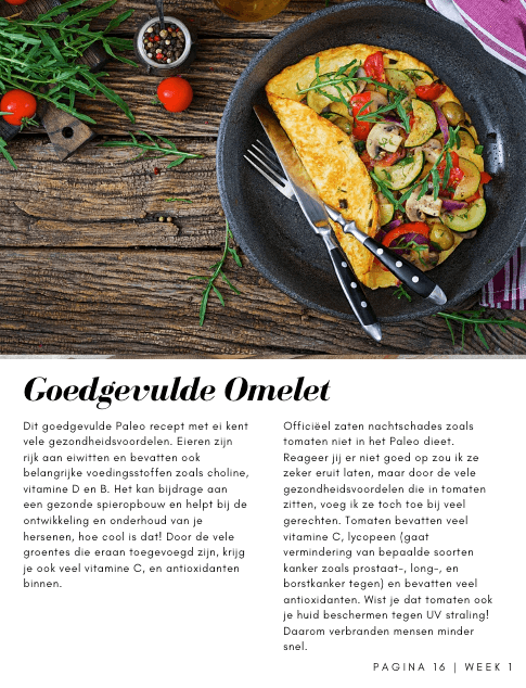 Paleo Lunch boek