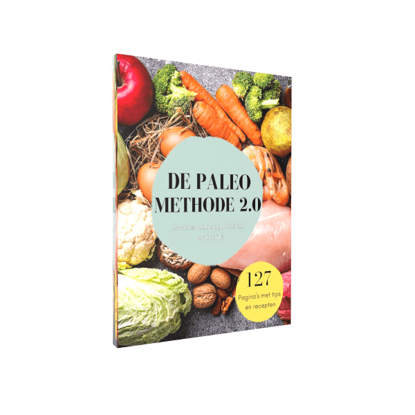 Paleo Lunch recepten